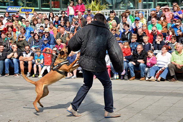 Polizeishow   053.jpg